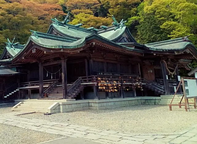 ���ٔ����{