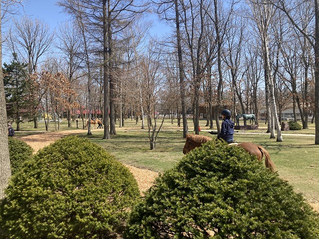 ノーザンホースパーク