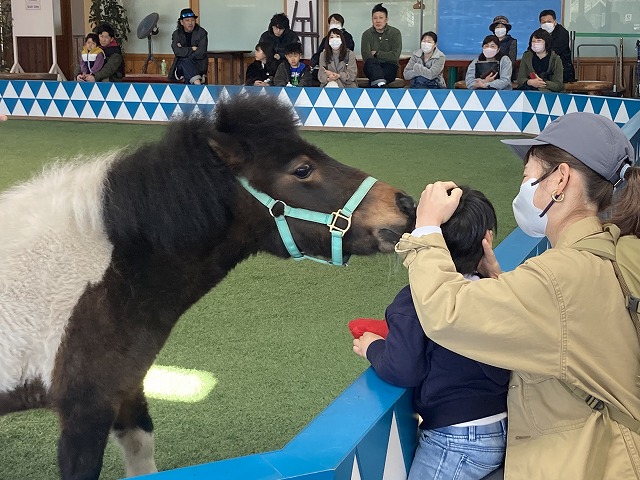 �m�[�U���z�[�X�p�[�N