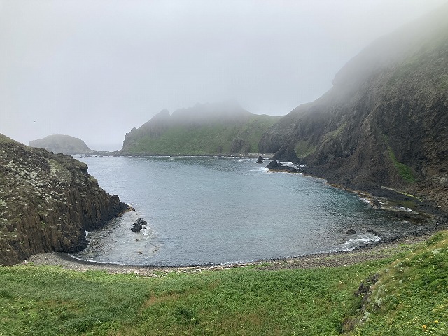 �X�J�C���E���C��