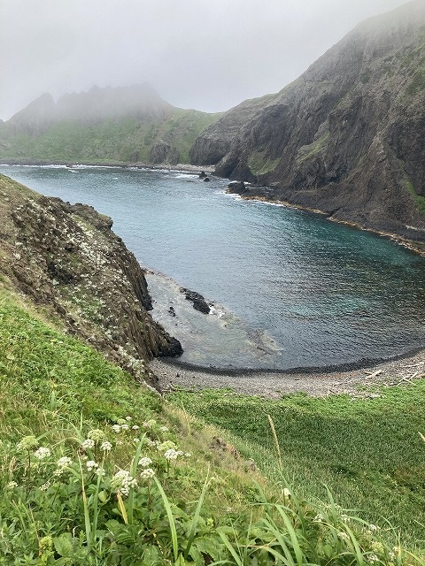 �X�J�C���E���C��