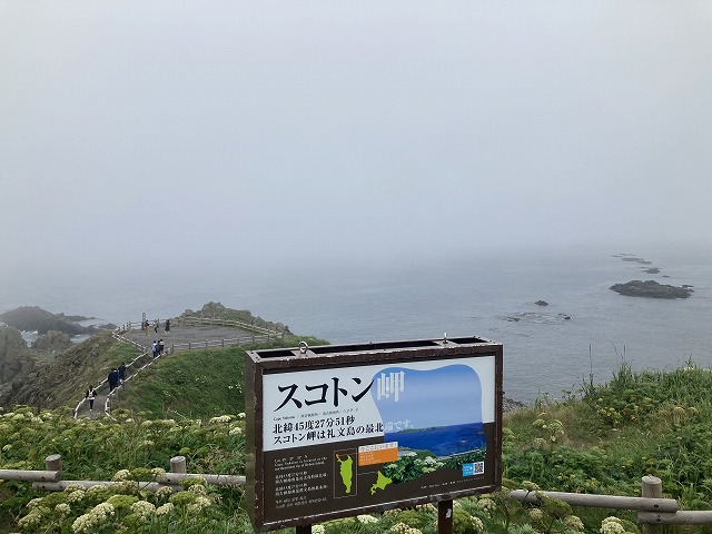 �X�R�g����