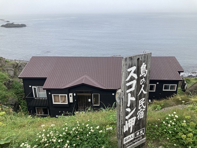 �X�R�g����