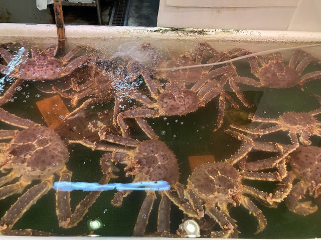 三角市場　小樽　海産物