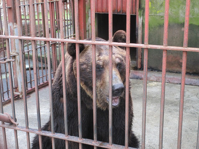 ウポポイ 民族共生象徴空間　しらおいポロトコタン