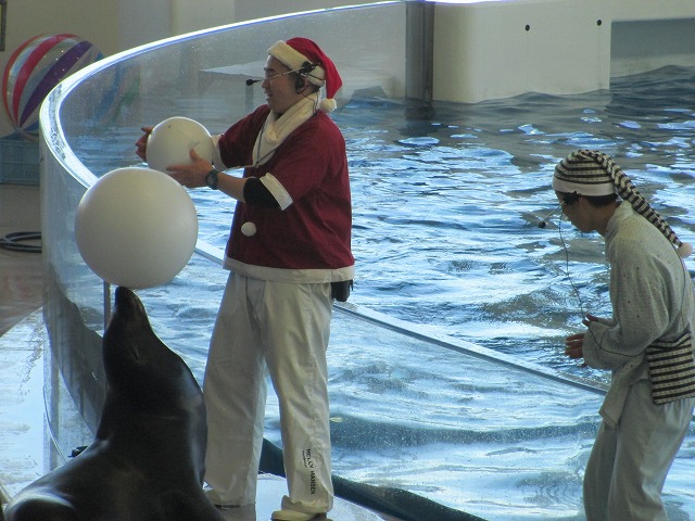 アクアワールド茨城県大洗水族館