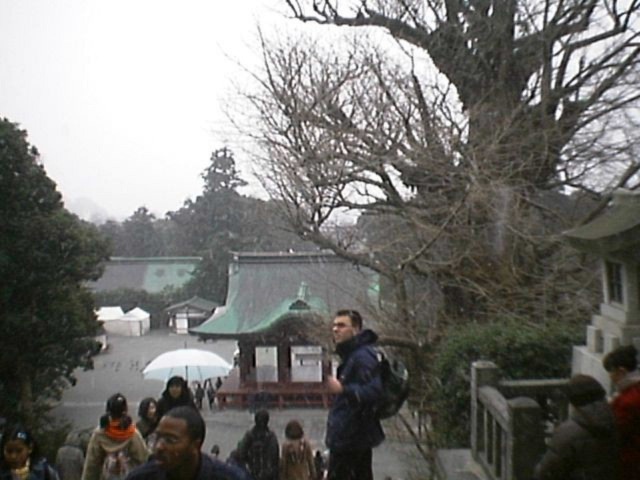 鶴岡八幡宮