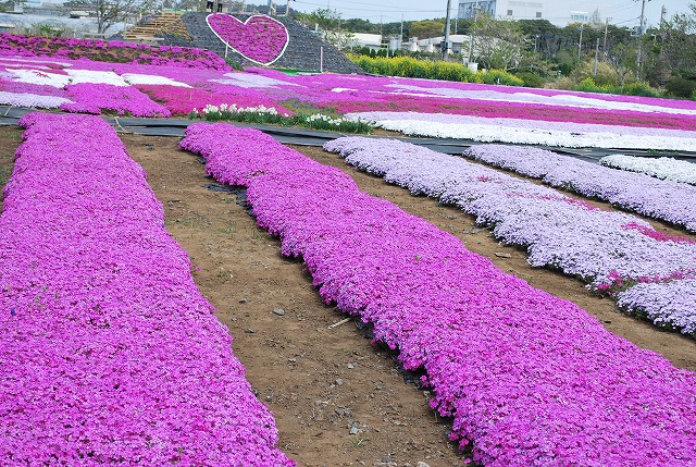 東庄町 東庄ふれあいセンター