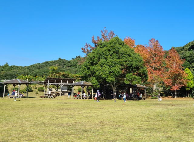 千葉県立 東庄県民の森