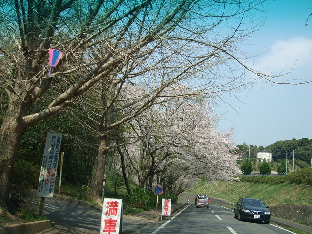 小見川城山公園