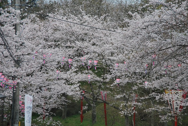 小見川城山公園