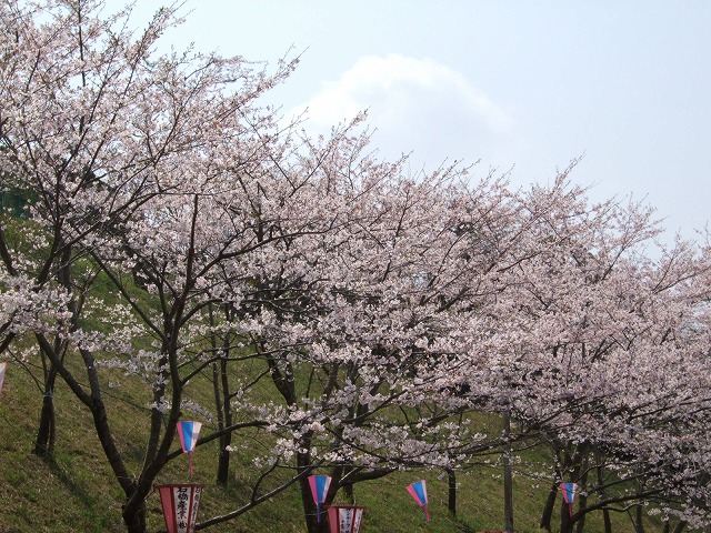 小見川城山公園