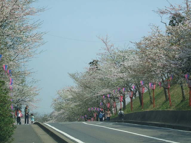 小見川城山公園