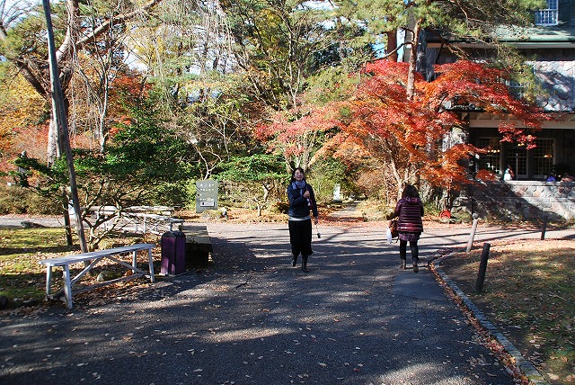 西洋料理 明治の館