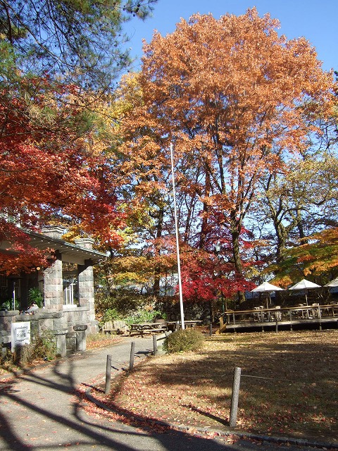 西洋料理 明治の館