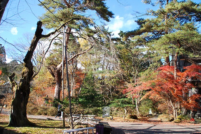 西洋料理 明治の館