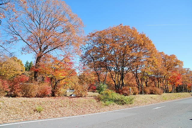 日光口パーキングエリア 