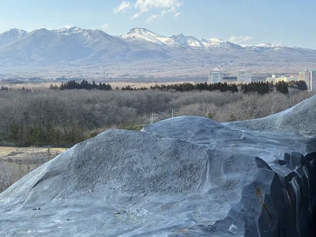 神命大神宮那須別宮