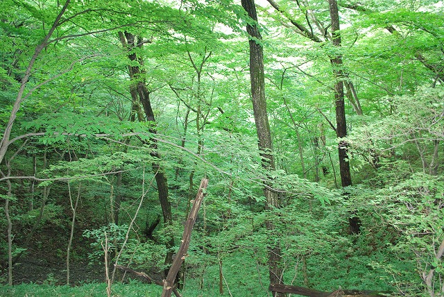 山のレストラン