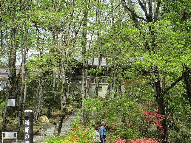 山のレストラン