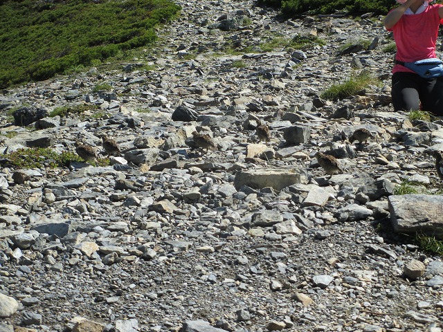 北岳、間ノ岳登山