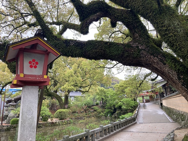 太宰府天満宮