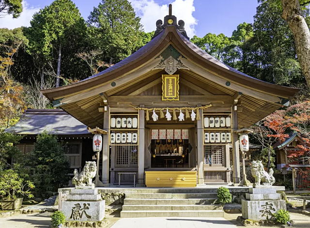 �󖞋{�}��_��