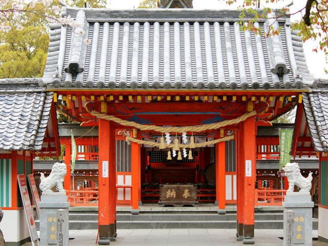 ����_��(�����{)