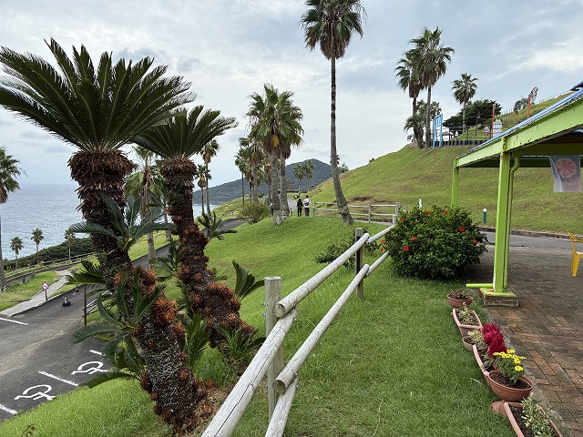 サンメッセ日南