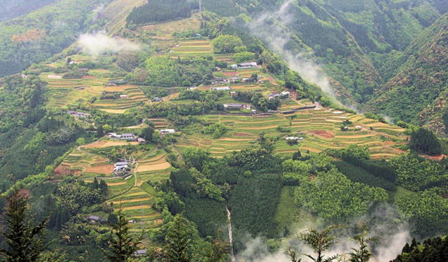 �ŗt���i�����΂���j