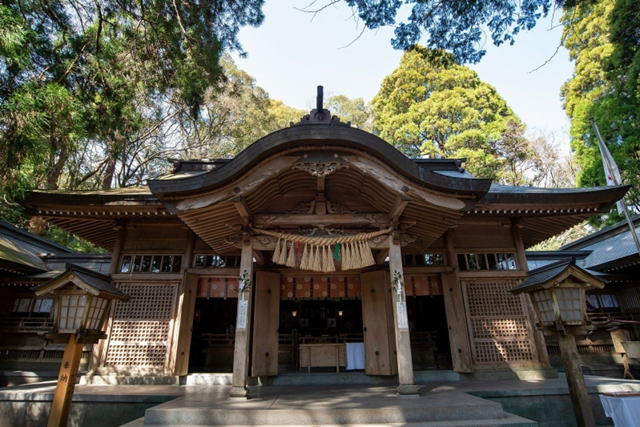 �����_��