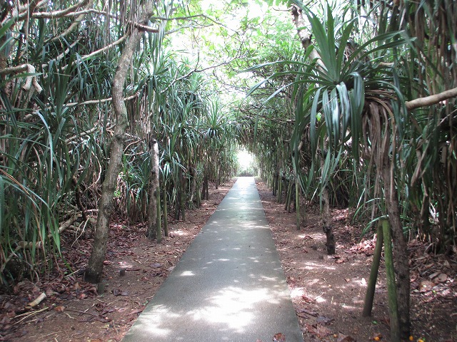 下地島の通り池