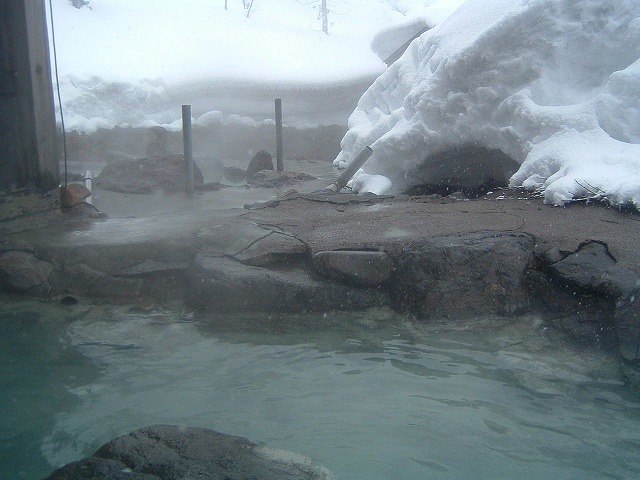 �������� ���Z����