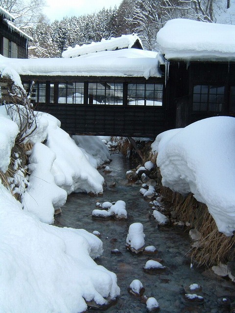 �������� �߂̓�����