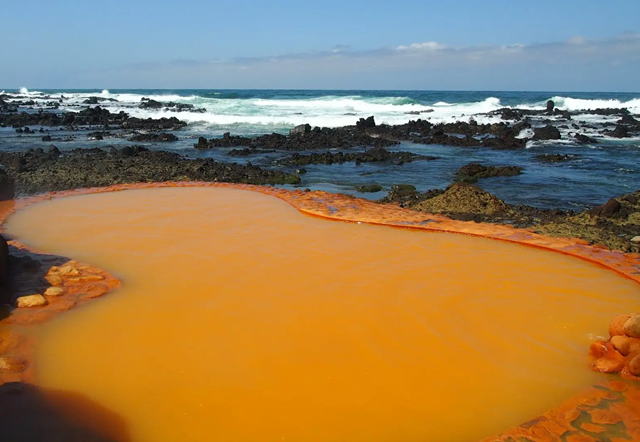 ������s�V�ӎ�����