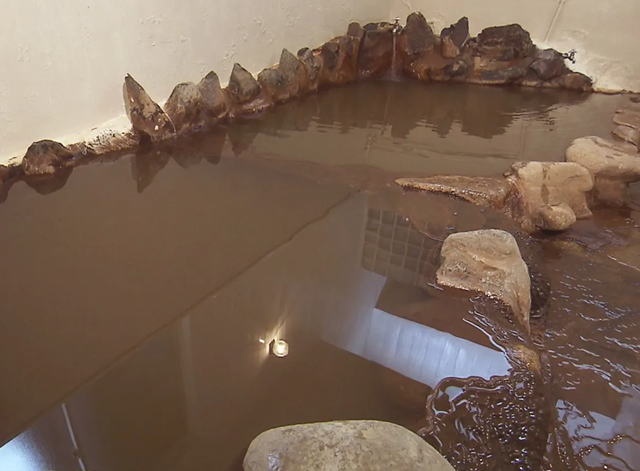 �F�̓�����