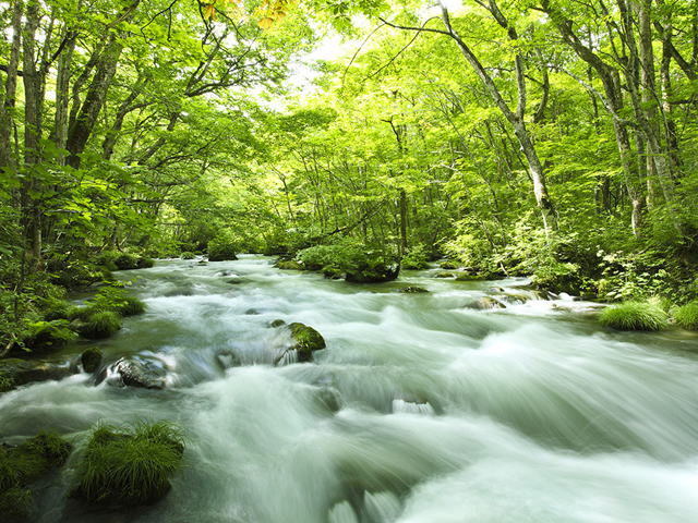 �������k��