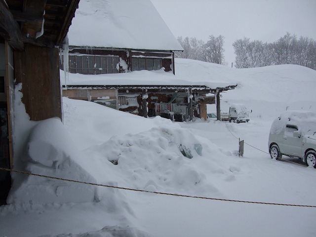 �_�������򗷊�