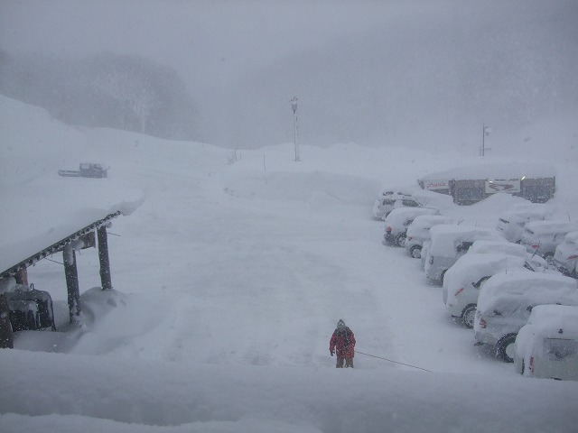 �_�������򗷊�