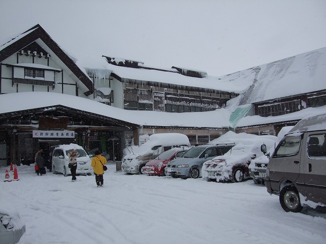 �_�������򗷊�