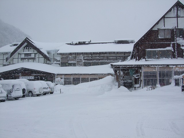 ��̎_�������򗷊�