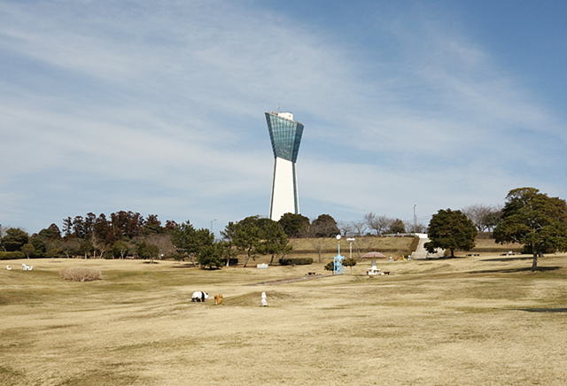 ���킫�}�����^���[�A