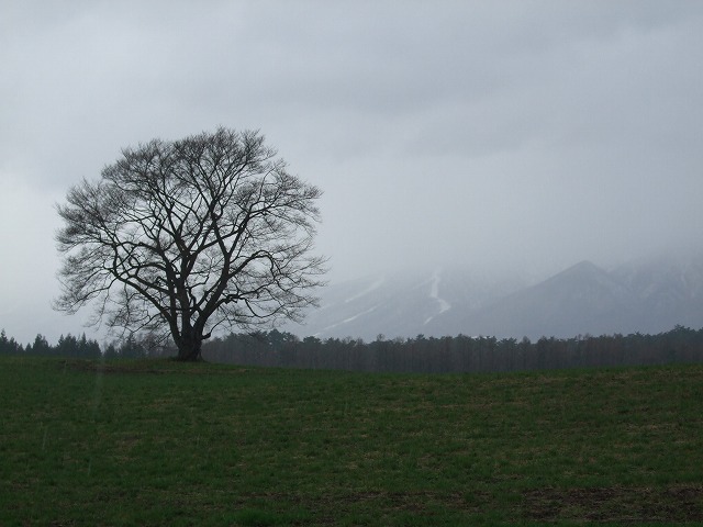 �����_��