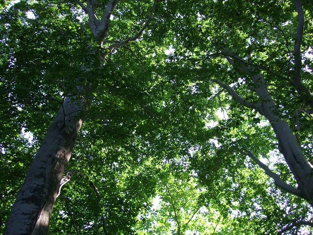 松川温泉 峡雲荘