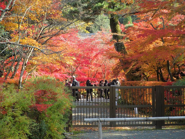 永観堂　禅林寺