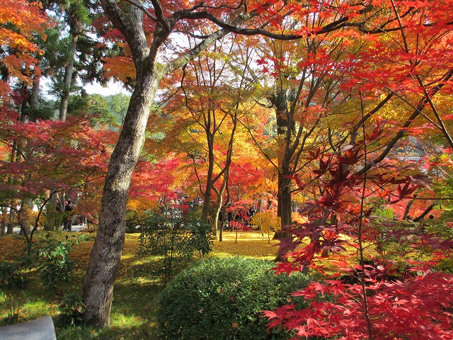 永観堂　禅林寺