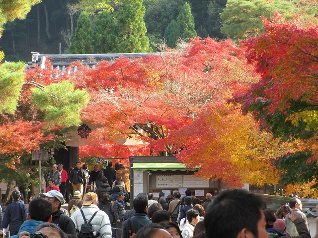 永観堂　禅林寺