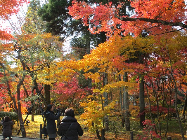 永観堂　禅林寺