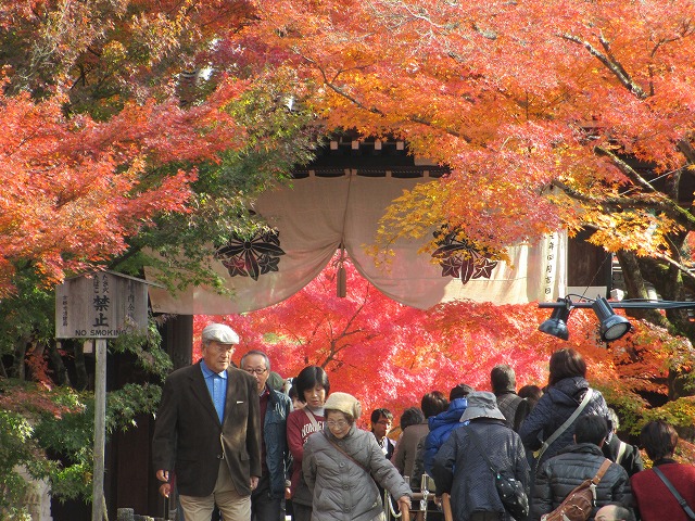 永観堂　禅林寺