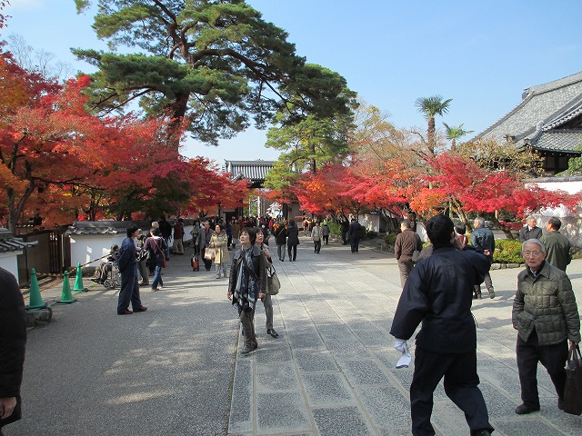 永観堂　禅林寺